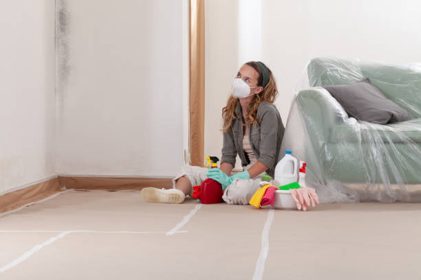 Reliable Mold Remediation contractor in Kingsland, GA by 24 Hour Mold Removal